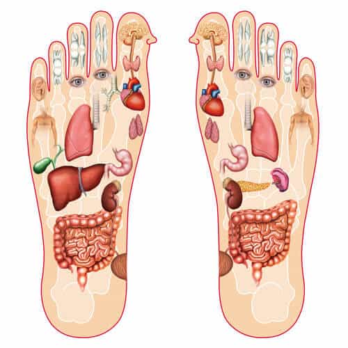 Foot reflexology