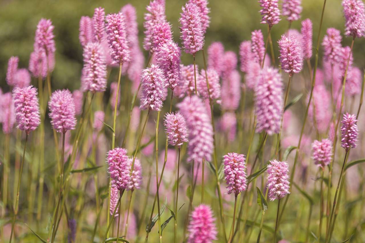 primavera en Body&Mind
